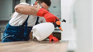 Best Termite Inspection and Treatment  in Tton, IL